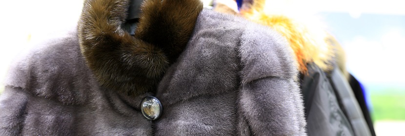 一本工程師必讀書籍《電子電氣工程師必知必會》！?歐盟RoHS附件IV擬新增一項汞豁免-虹彩檢測