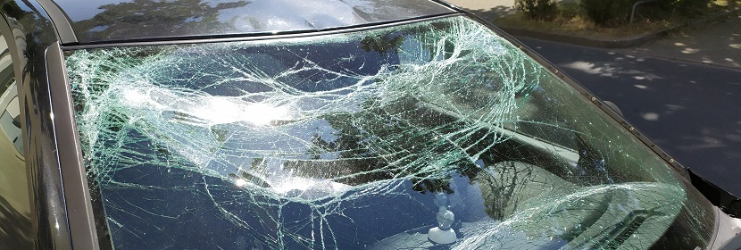 國內抗原檢測試劑盒，哪家比較靠譜呢 ?實驗筆記丨病毒感染細胞實驗的步驟詳解（上卷）