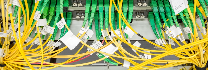 公共衛(wèi)生考研,這是最好的時(shí)期!!!?【2022為民實(shí)事系列評(píng)論】筑牢公共衛(wèi)生防護(hù)網(wǎng),是須臾不可放松的大事 健明迪檢測(cè)